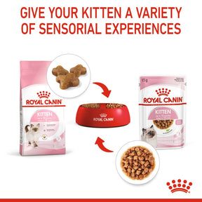 ROYAL CANIN  Kitten Dry Food