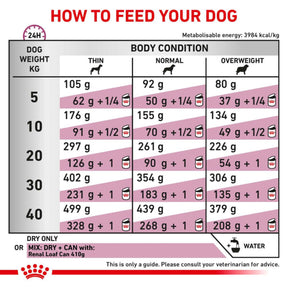 ROYAL CANIN Renal Adult Dry Dog Food