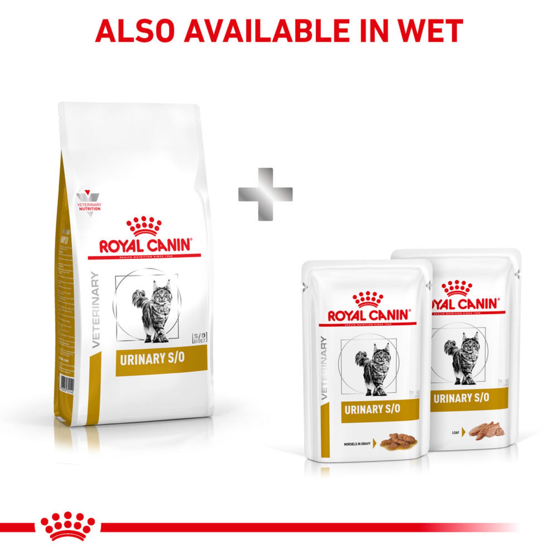 ROYAL CANIN Feline Urinary S/O Adult Dry Cat Food