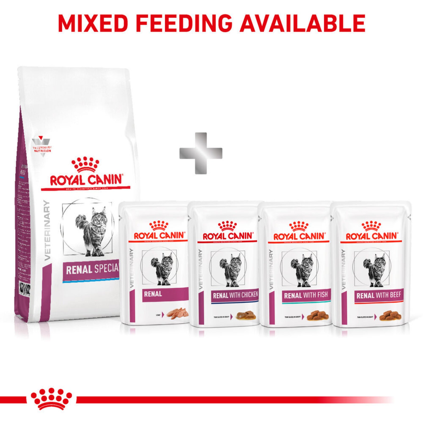 ROYAL CANIN Renal Special Adult Dry Cat Food