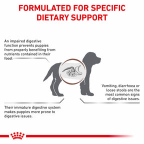 ROYAL CANIN Gastrointestinal Puppy Dry Dog Food