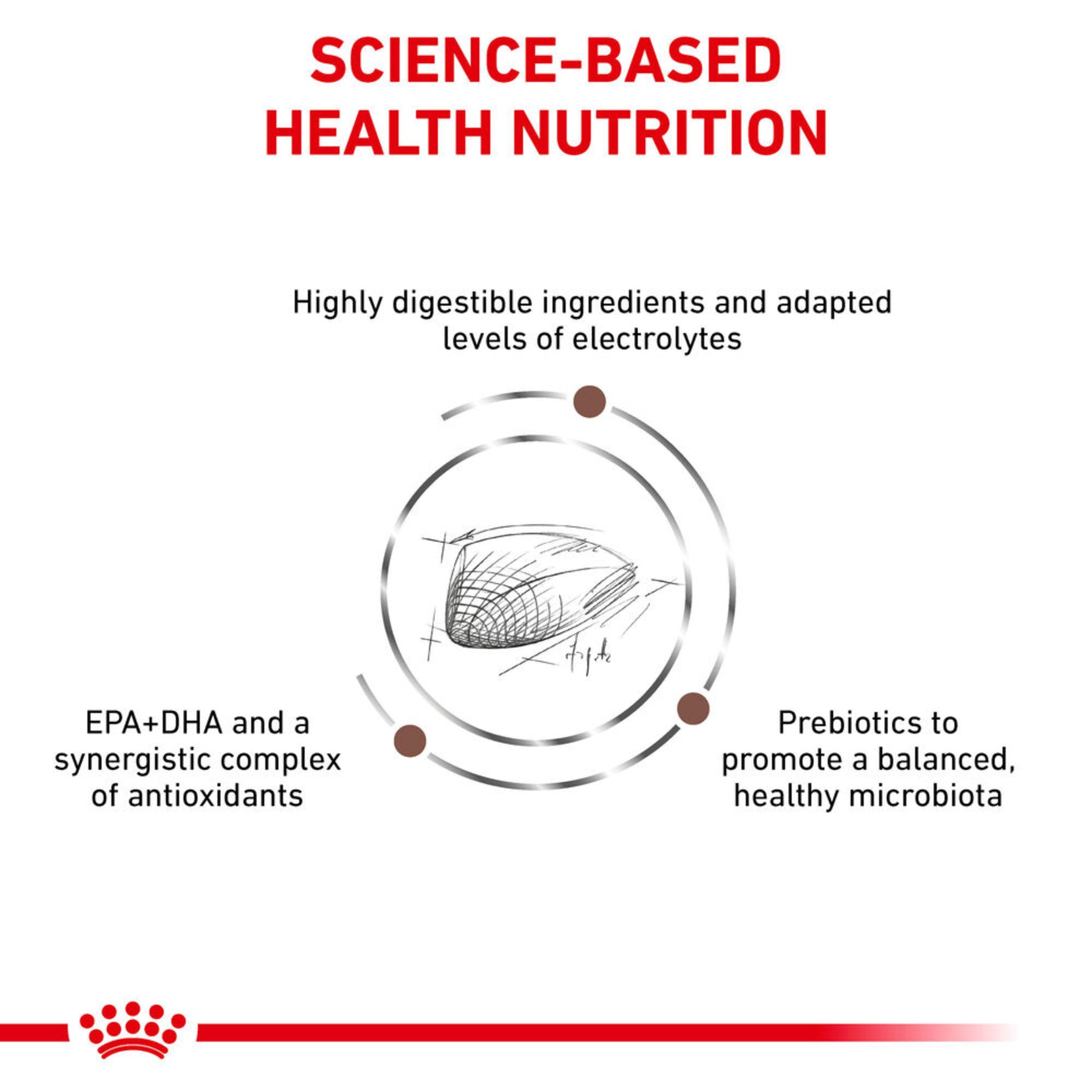 ROYAL CANIN Gastrointestinal Adult Dry Cat Food 4kg