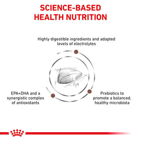 ROYAL CANIN Gastrointestinal Adult Dry Cat Food 4kg