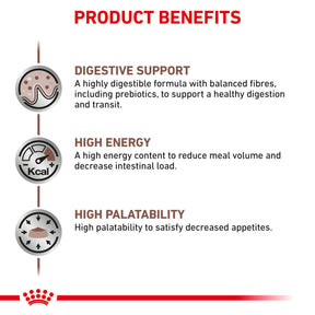 ROYAL CANIN Gastrointestinal Adult Dry Cat Food 4kg