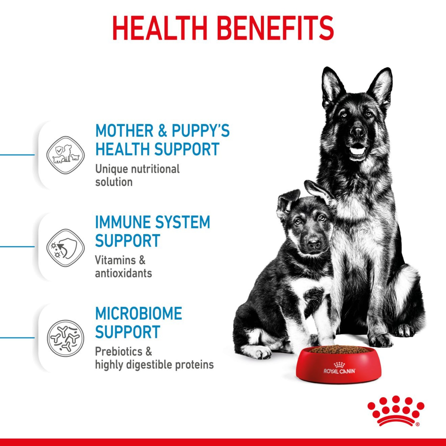 ROYAL CANIN®  Starter Large Mother & Babydog Dry Food