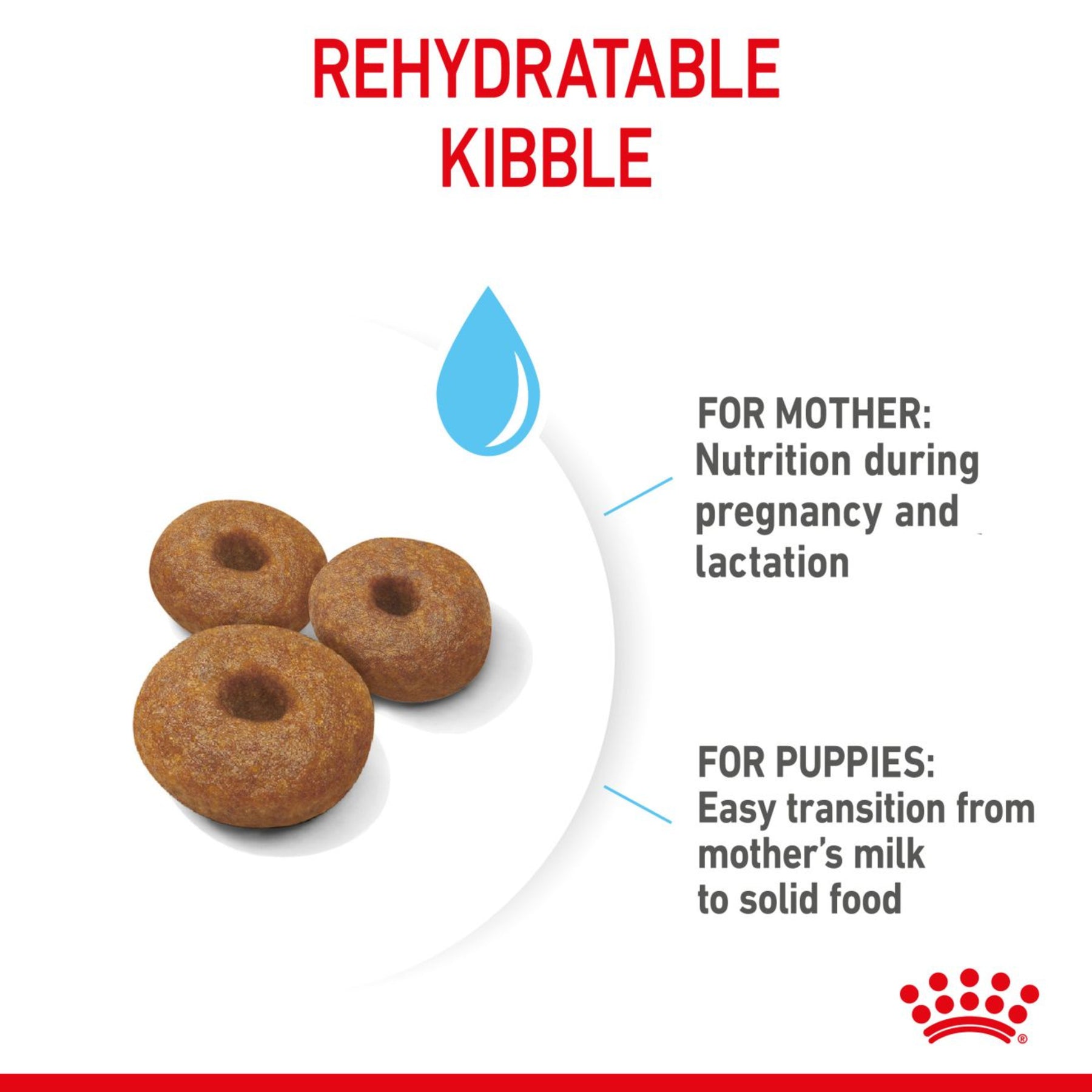 ROYAL CANIN®  Starter Large Mother & Babydog Dry Food