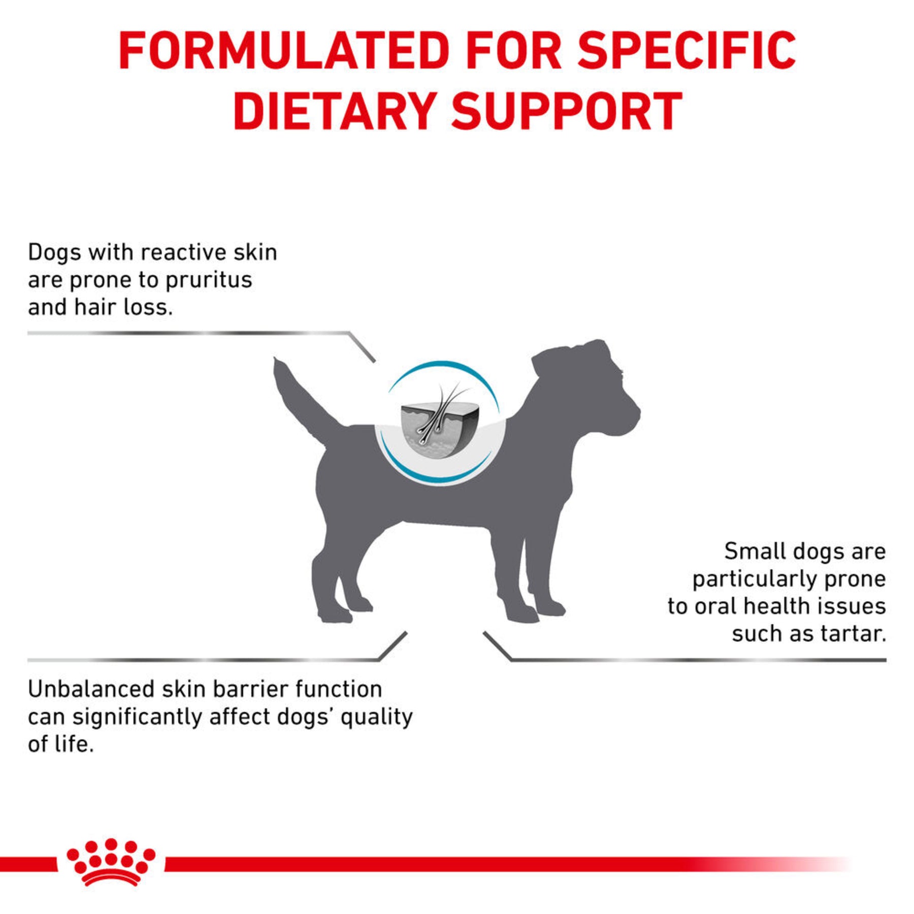 ROYAL CANIN Canine Skin Care Small Dog Adult Dry Food