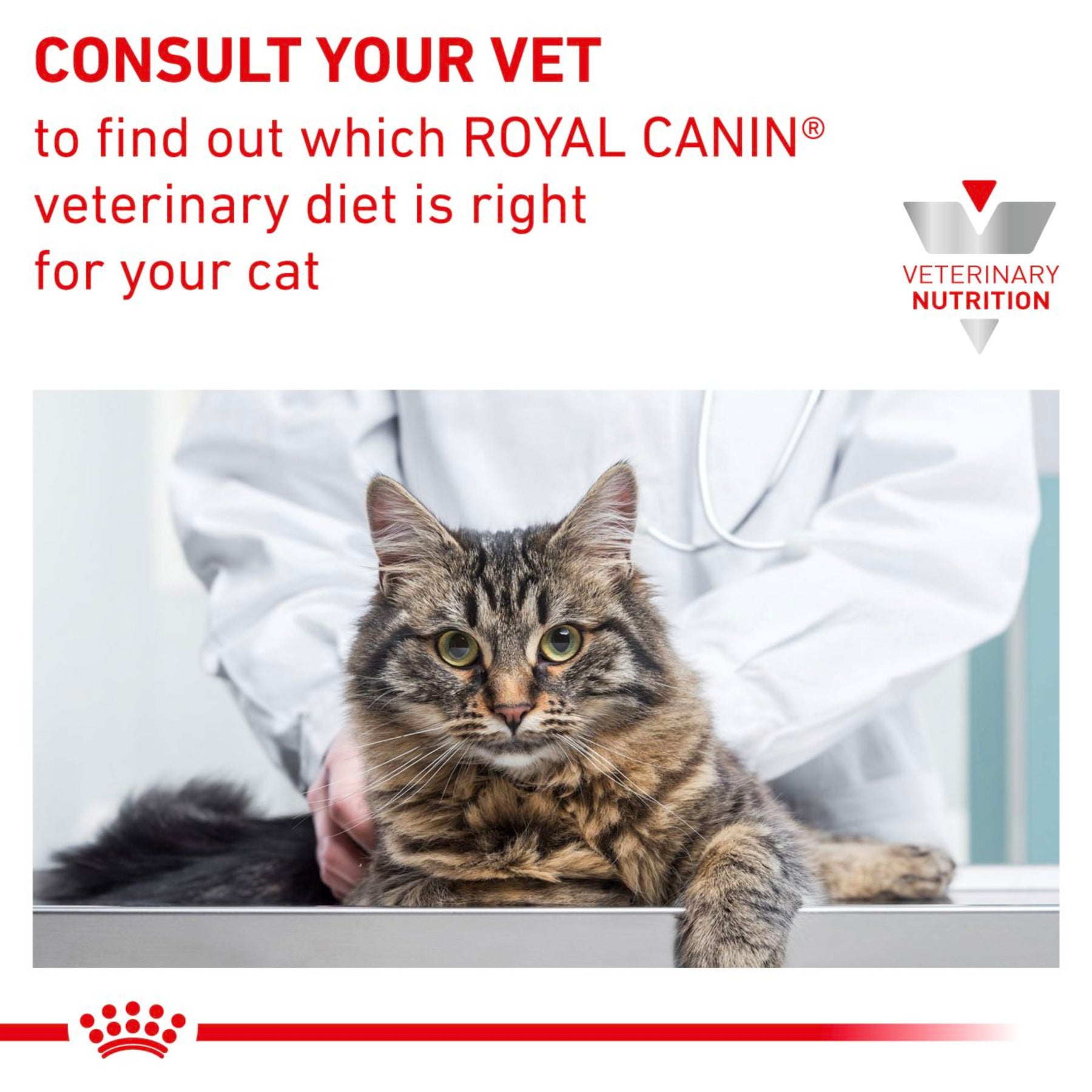 ROYAL CANIN Feline Anallergenic Adult Dry Cat Food