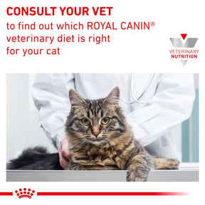 ROYAL CANIN Feline Anallergenic Adult Dry Cat Food