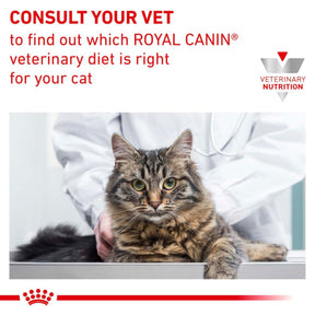 ROYAL CANIN Early Renal Adult Dry Cat Food