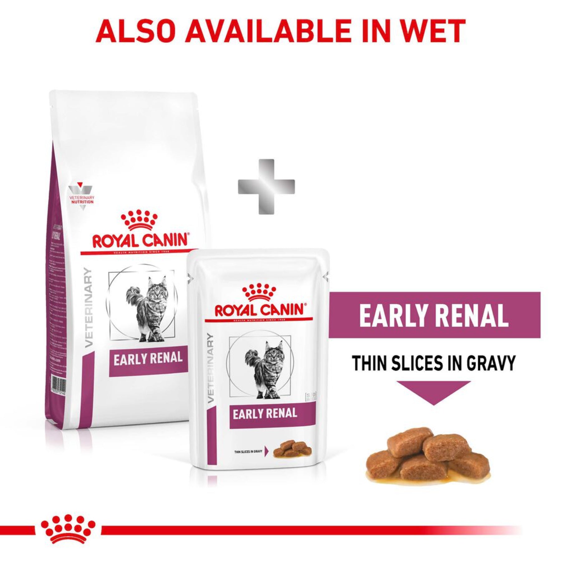 ROYAL CANIN Early Renal Adult Dry Cat Food
