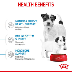 Royal Canin Starter Mother & Babydog Adult & Puppy Mini Dry Small Dog Food