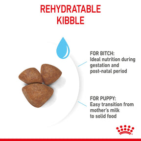 Royal Canin Starter Mother & Babydog Adult & Puppy Mini Dry Small Dog Food