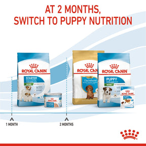 Royal Canin Starter Mother & Babydog Adult & Puppy Mini Dry Small Dog Food