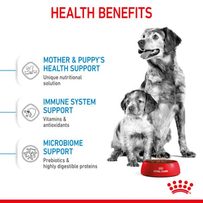 ROYAL CANIN®Starter Medium Mother & Babydog Dry Food