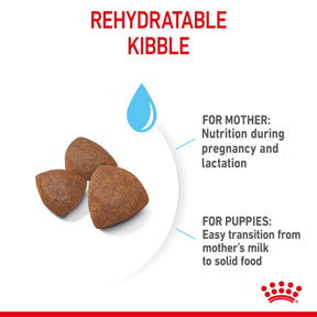 ROYAL CANIN®Starter Medium Mother & Babydog Dry Food