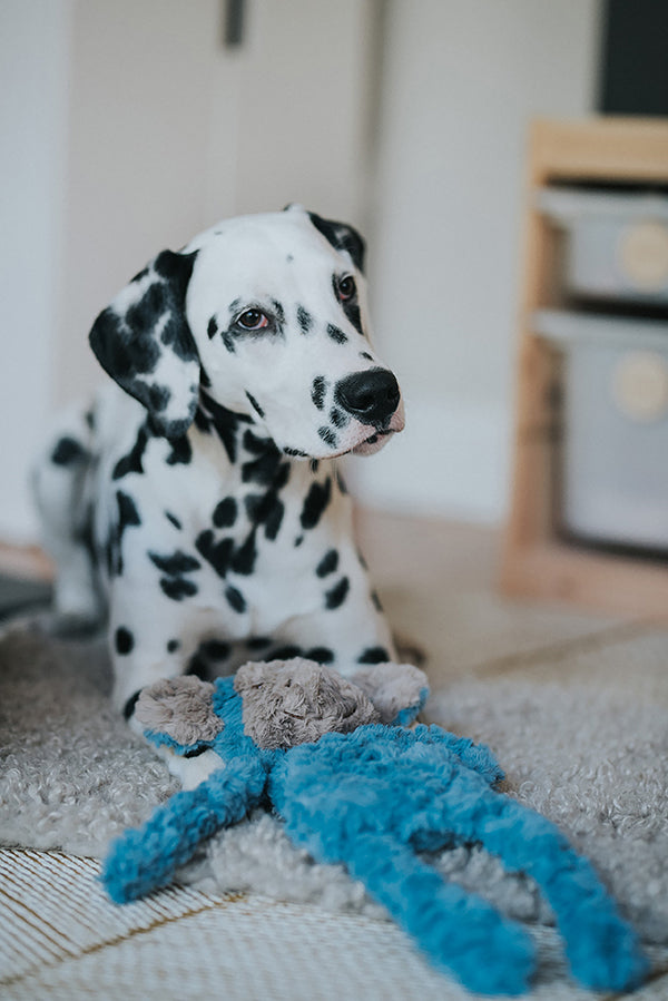 My Dog Monkey Dog Toy