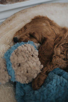 My Dog Monkey Dog Toy