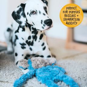 My Dog Monkey Dog Toy