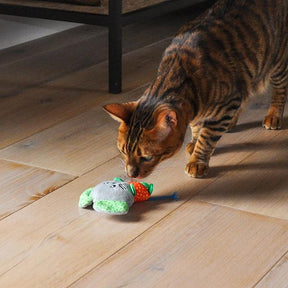 Little Nippers Mighty Mouse Kitten Toy