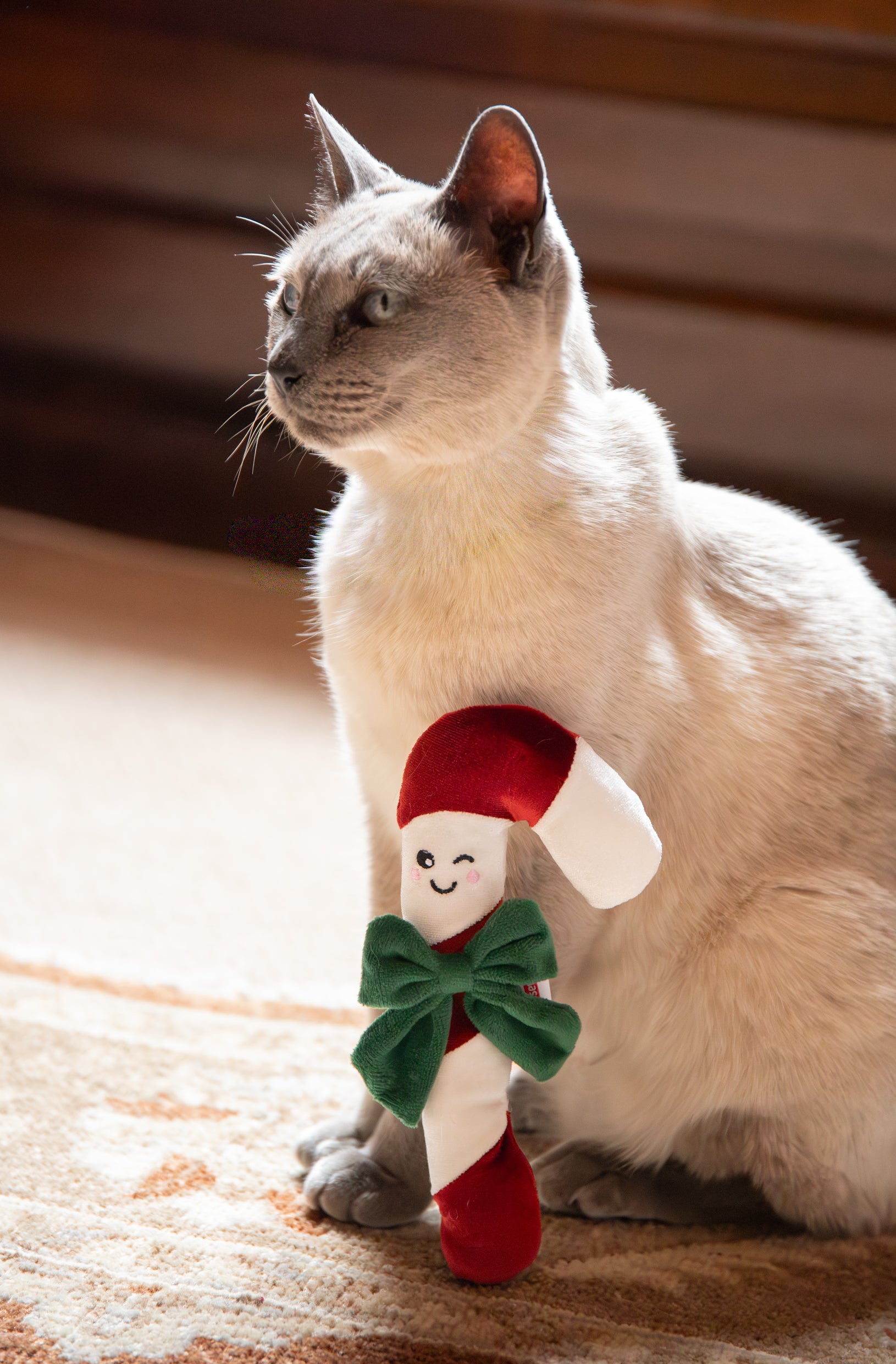 Rosewood Claude Candy Cane Cat Toy