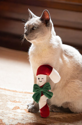 Rosewood Claude Candy Cane Cat Toy