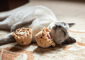Rosewood Robbie & Pingu Pie Duo Cat Toy