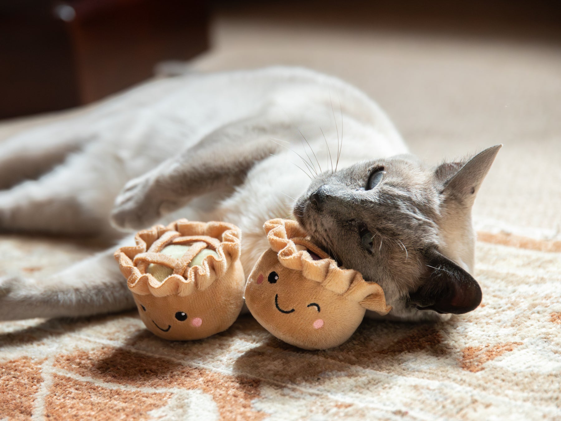 Rosewood Robbie & Pingu Pie Duo Cat Toy