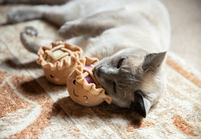 Rosewood Robbie & Pingu Pie Duo Cat Toy