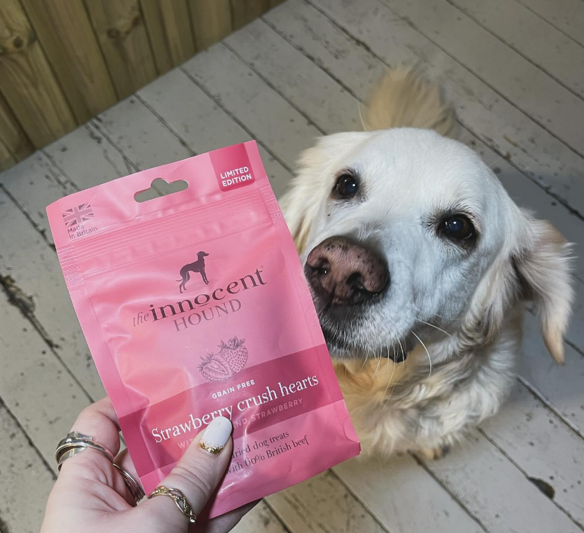 Innocent Hound Strawberry Crush Hearts