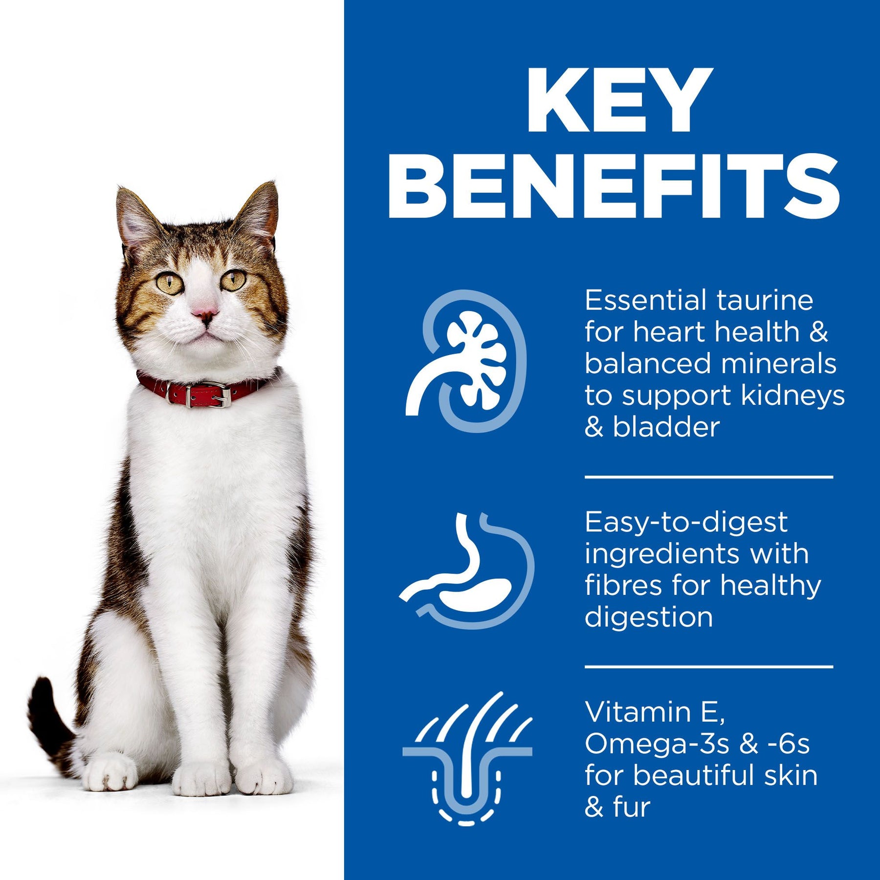 Hill's Science Plan Mature Adult Wet Cat Food Multipack Chicken & Ocean Fish Flavour