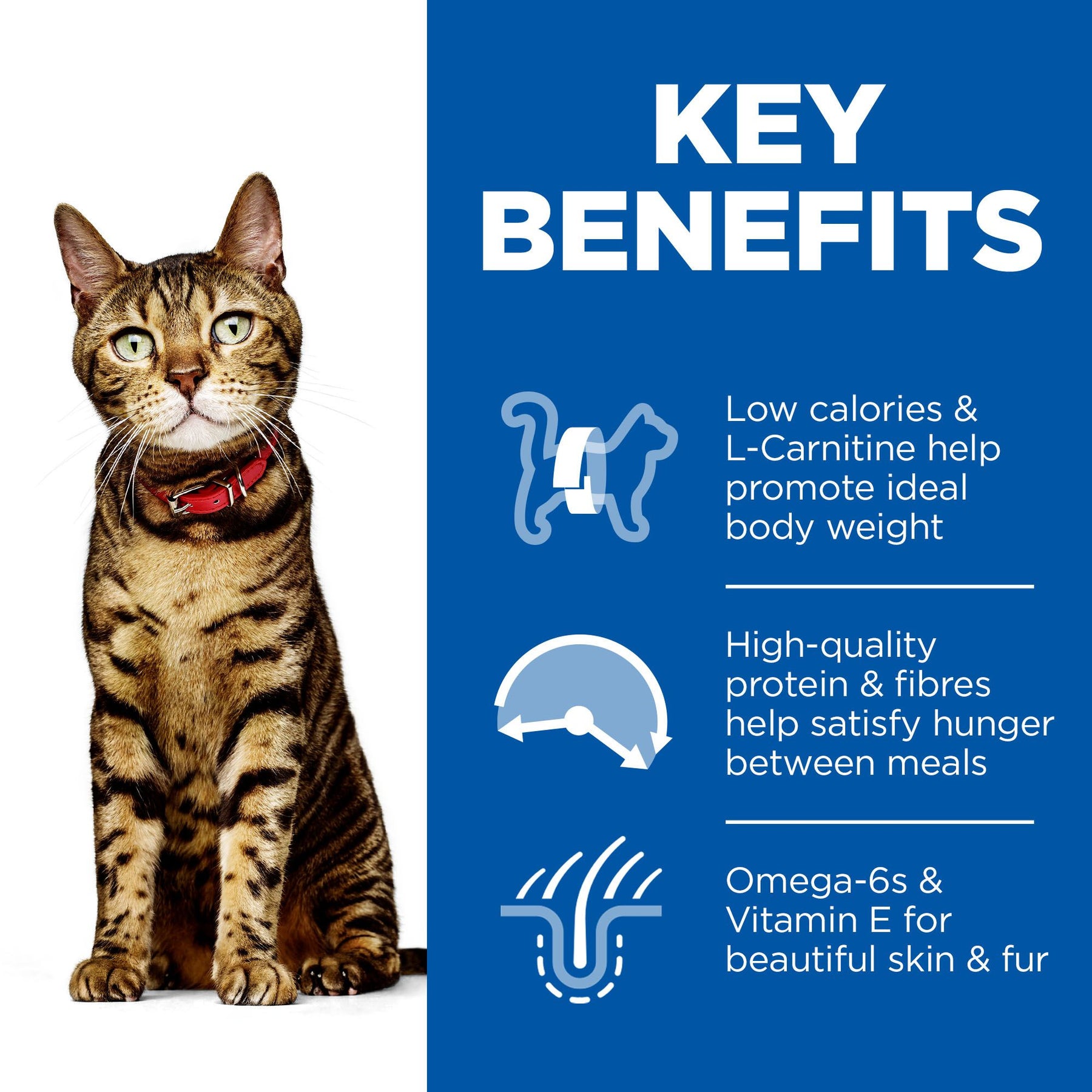 Hill's™ Science Plan Adult Light Wet Cat Chicken Flavour