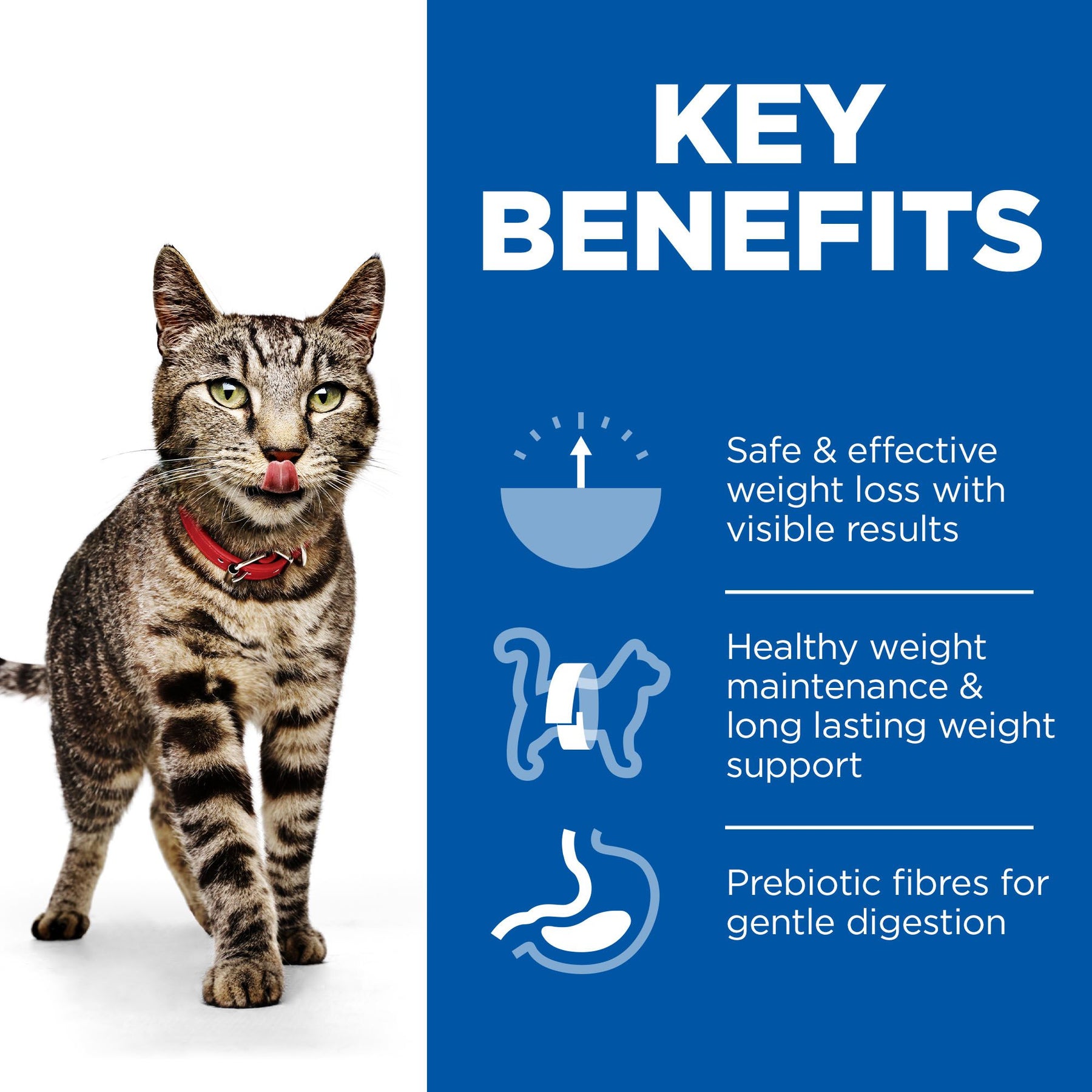 Hill's Science Plan Adult Perfect Weight Wet Cat Food Multipack Chicken & Salmon Flavour