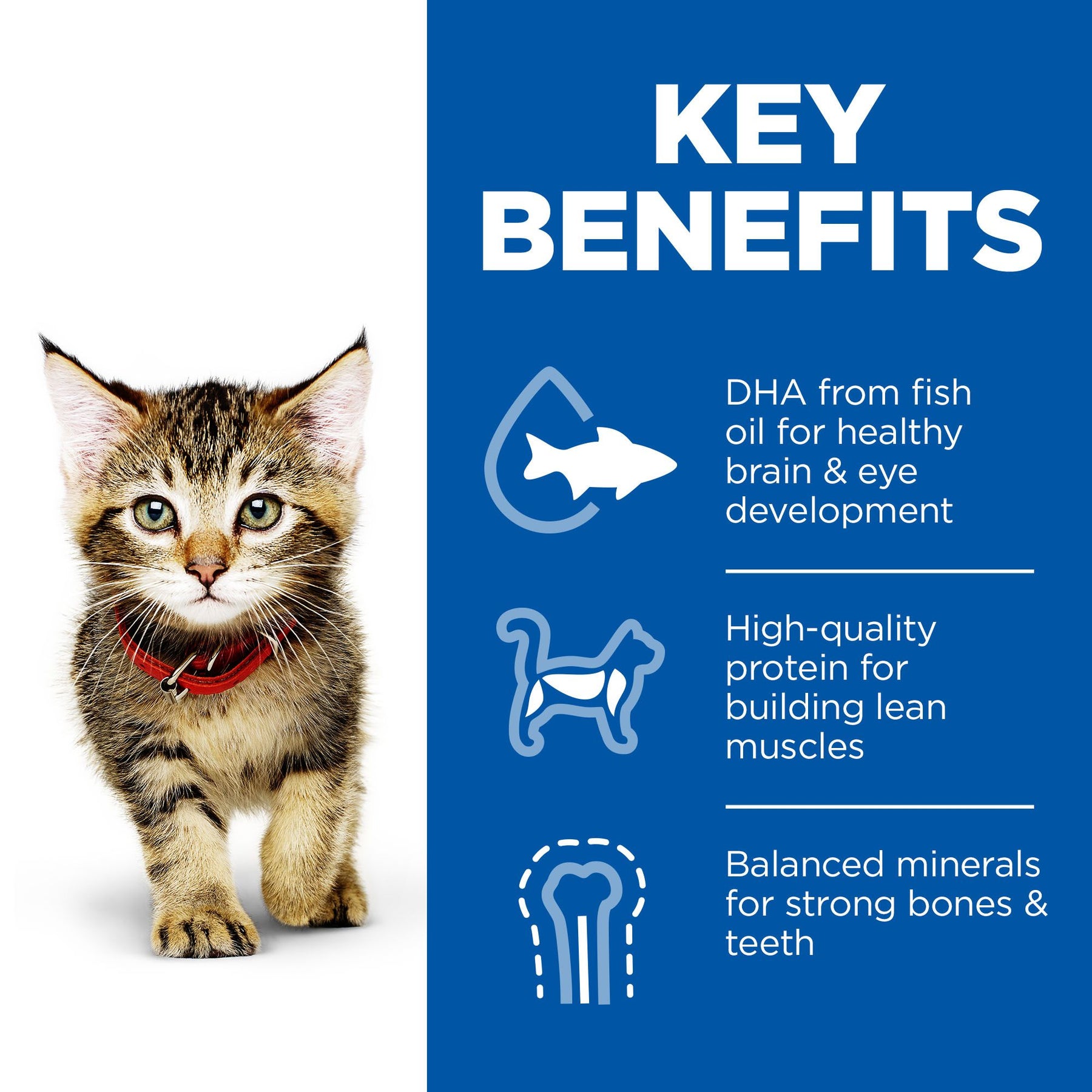 Hill's™ Science Plan Kitten Wet Multipack Chicken & Ocean Fish 85g