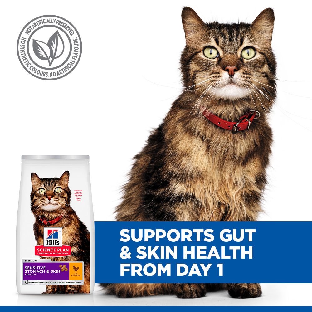Hill's™ Science Plan Sensitive Stomach & Skin Adult Dry Cat Food Chicken