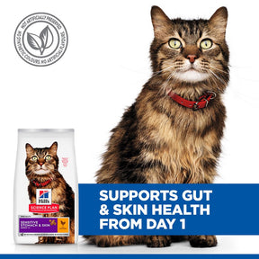 Hill's™ Science Plan Sensitive Stomach & Skin Adult Dry Cat Food Chicken