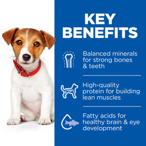 Hill's™ Science Plan Puppy Small & Mini Dry Food Chicken Flavour