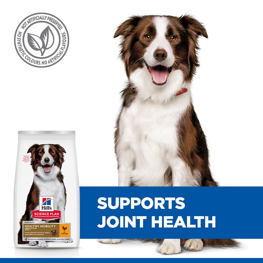 Hill's™ Science Plan Healthy Mobility Adult Medium Breed Dry Dog Food with Chicken