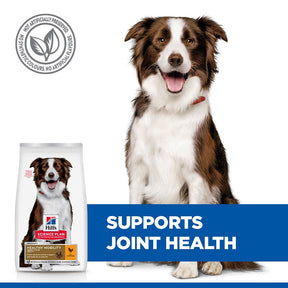 Hill's™ Science Plan Healthy Mobility Adult Medium Breed Dry Dog Food with Chicken
