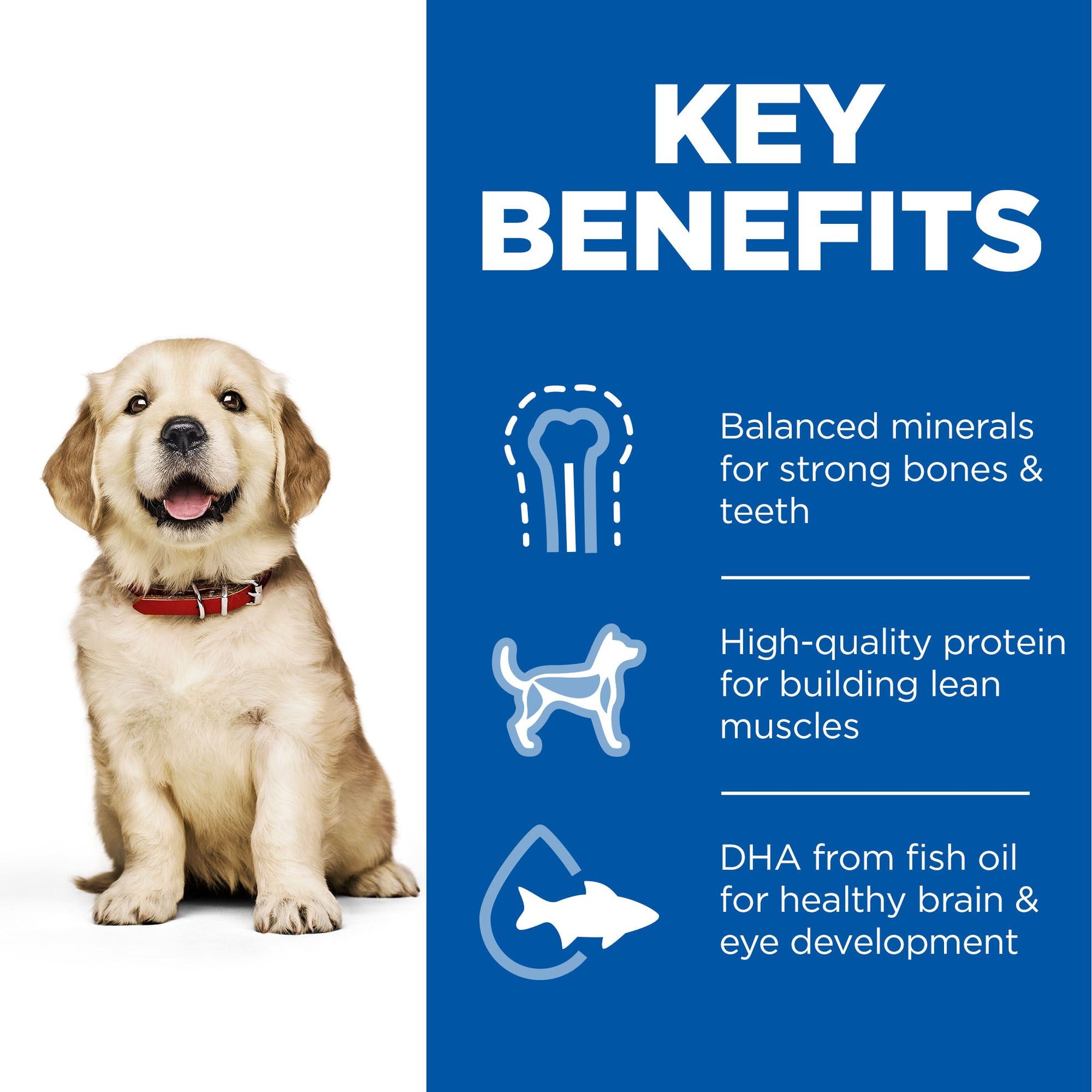 Hill's™ Science Plan Puppy Large Breed Dry Food Chicken Flavour