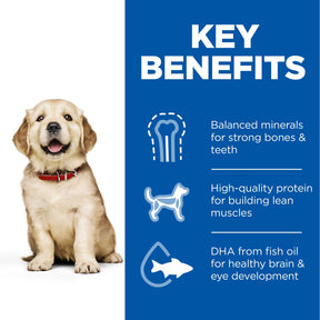 Hill's™ Science Plan Puppy Large Breed Dry Food Chicken Flavour