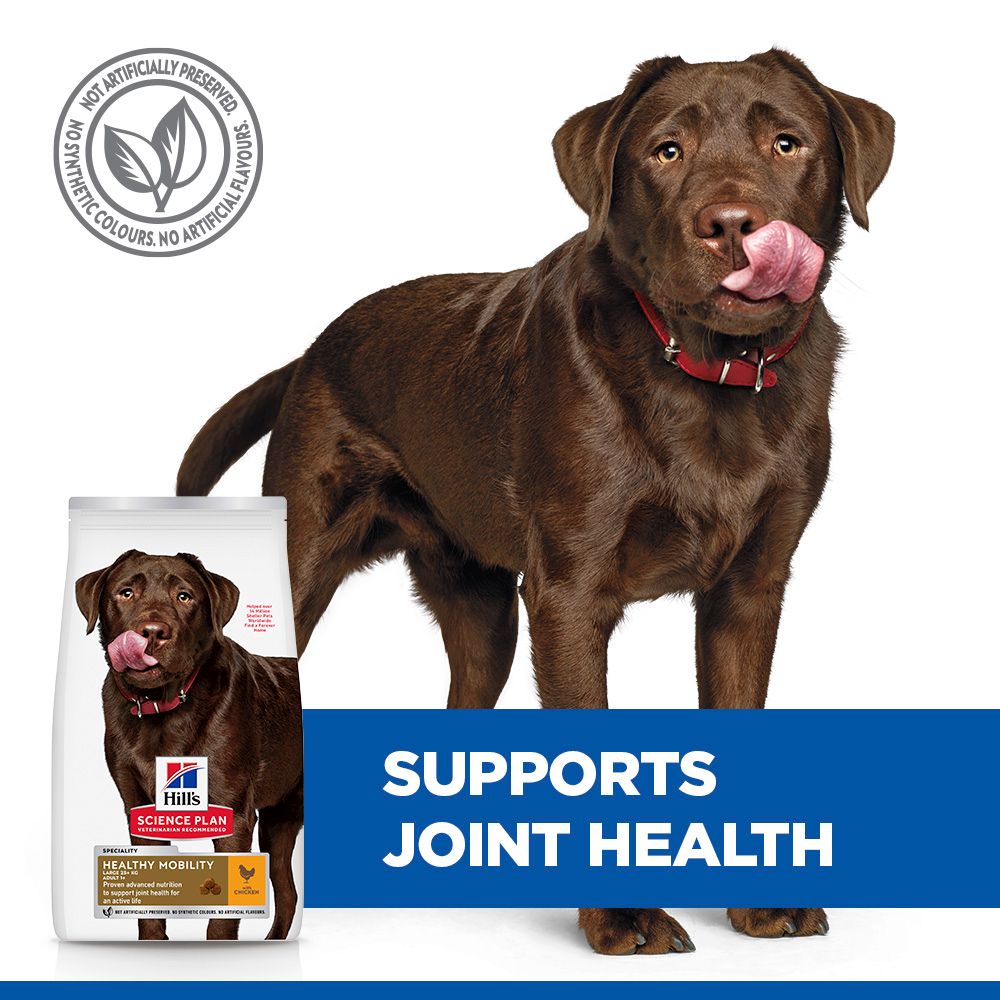 Hill's™ Science Plan Healthy Mobility Adult Large Breed Dry Dog Food with Chicken 14kg