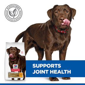 Hill's™ Science Plan Healthy Mobility Adult Large Breed Dry Dog Food with Chicken 14kg