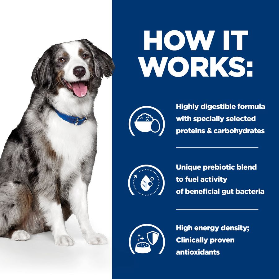 Hill's™ Prescription Diet™ i/d Low Fat Dog Food with Chicken