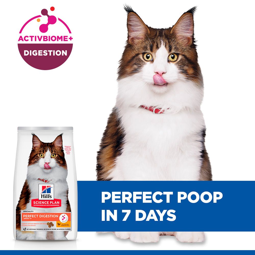 Hill's™ Science Plan Perfect Digestion Adult Cat Dry Food with Chicken & Brown Rice