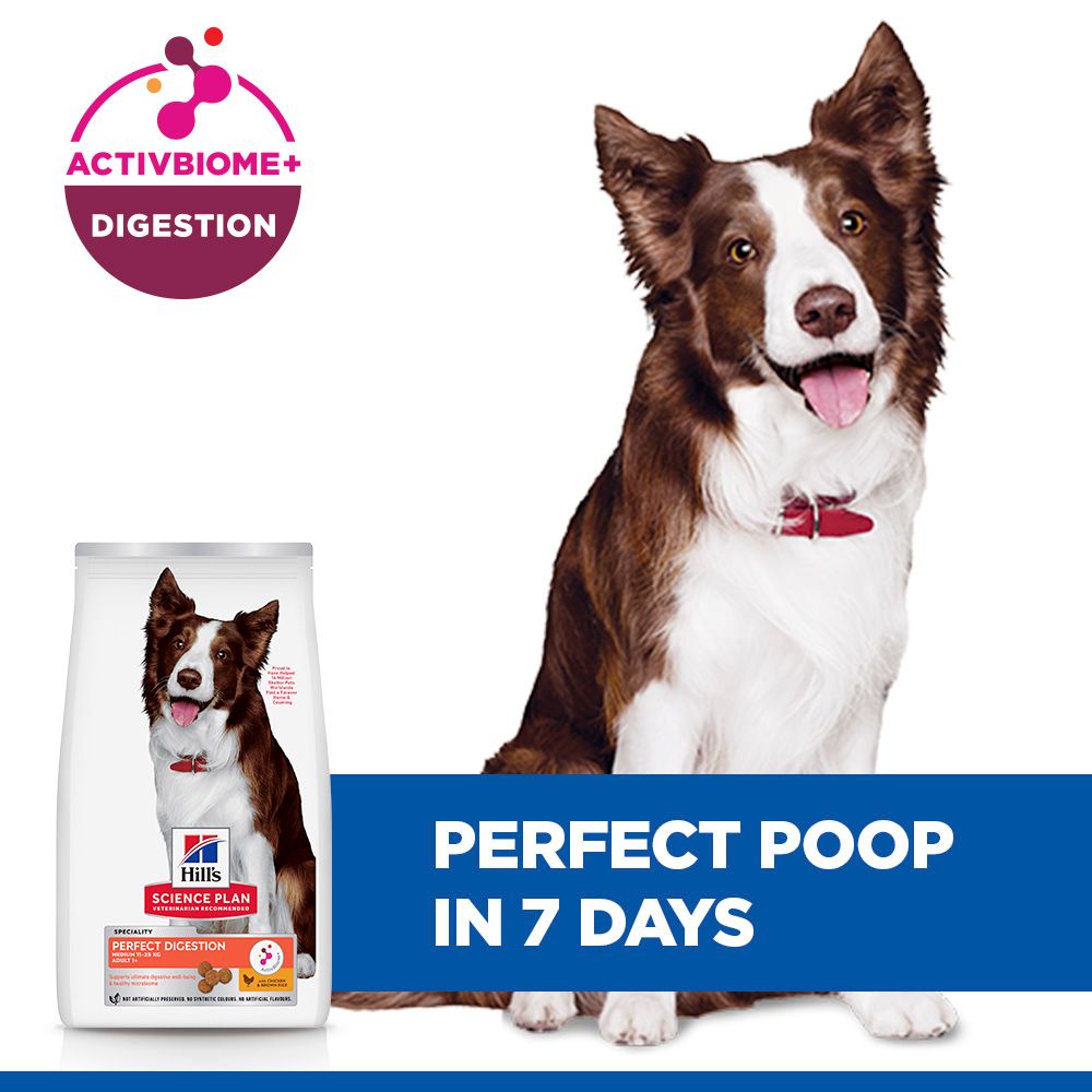 Hill's™ Science Plan Perfect Digestion Adult Medium Dry Dog Food Chicken & Brown Rice