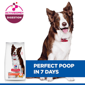 Hill's™ Science Plan Perfect Digestion Adult Medium Dry Dog Food Chicken & Brown Rice