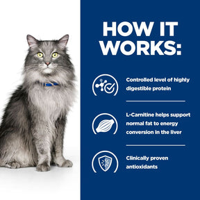 Hill's™ Prescription Diet™ l/d Liver Care Dry Cat Food with Chicken