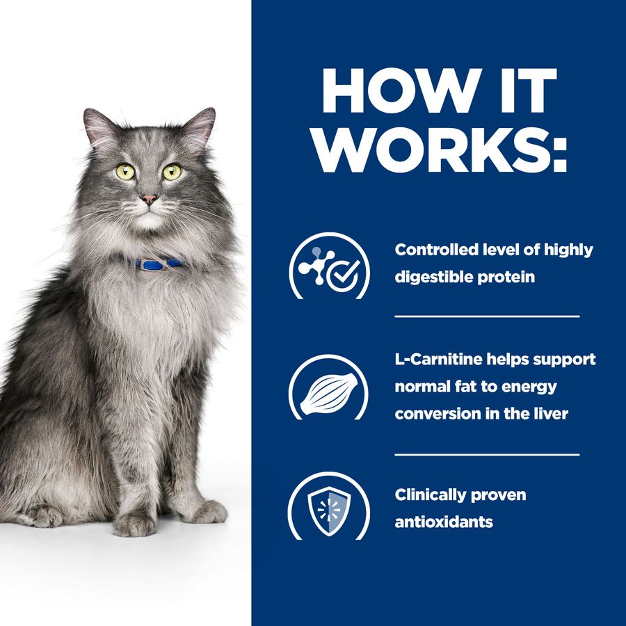 Hill's™ Prescription Diet™ l/d Liver Care Dry Cat Food with Chicken