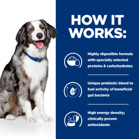 Hill's™ Prescription Diet™ i/d™ Sensitive Dog Food with Egg and Rice 12kg